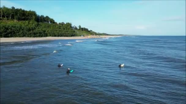 Yaz Boyunca Gevrek Ferahlatıcı Okyanusta Sabah Sörfünün Heyecanını Yaşayın Sörfçüler — Stok video