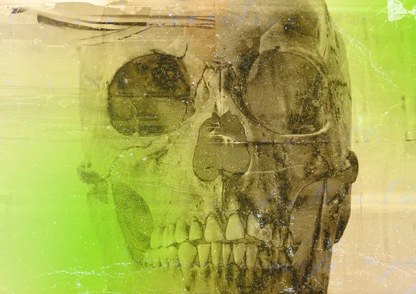 Crânio Grunge Assustador Papel Parede Terror Com Esqueleto Assustador Textura — Fotografia de Stock