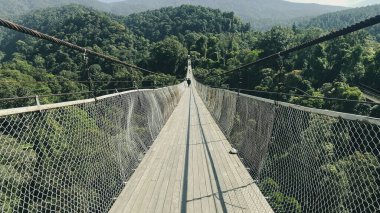 Yeşil ormandaki ağaç tepelerinde asma köprü ve arka planda dağ