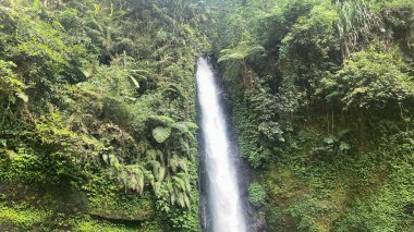 Curug Sawer Situgunung Sukabumi Batı Java Endonezya turizm nesnesi Şelale yağmur ormanları