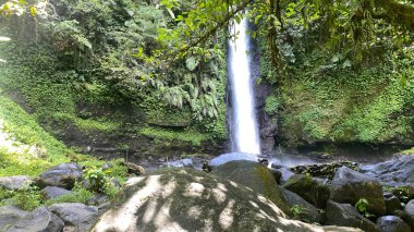 Yağmur ormanlarında şelale manzaralı panoramik orman