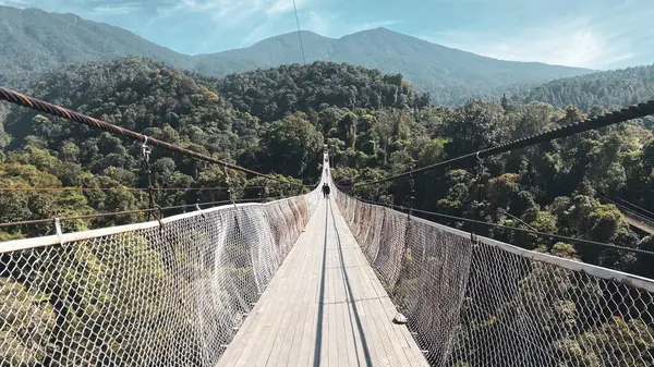 Köprü Yağmur Ormanları Asma Köprüsü Ormanda nehir feribotunu geçiyor
