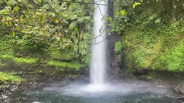 Gyönyörű Vízesés Táj Göndör Fűrészlap Közepén Indonézia Esőerdő Túraútvonal Rejtett — Stock videók
