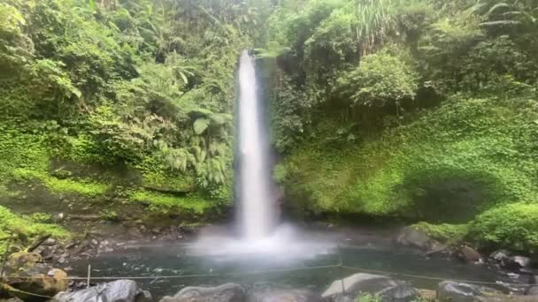 Hermoso Paisaje Cascada Brumosa Sawer Curug Medio Selva Tropical Indonesia — Vídeos de Stock