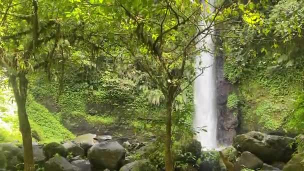 Selva Panorámica Con Vista Cascada Selva Tropical — Vídeos de Stock