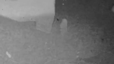 Eski film, gürültü tahıl dokusu, antika ekran, çizik bantlı negatif film ve eski görüntü efekti.