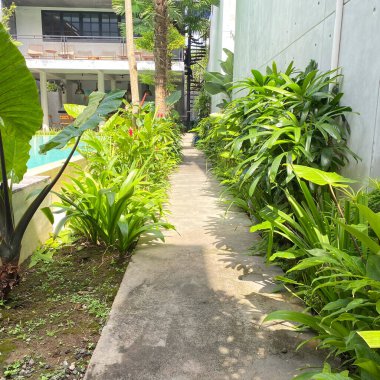 Bir sürü yeşil bitki ve yüzme havuzu olan bir kaldırım.