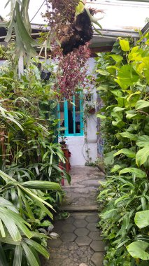 Mavi çerçeveli beyaz bir kapı ve ortasında bir bitki..