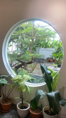 Yuvarlak pencerenin önünde bir kahve dükkanının içinde. Yuvarlak pencereli modern minimal kahve dükkanı iç tasarımı.