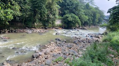 Büyük kaya ya da kayalarla dolu sığ bir nehir, Bogor 'da siliwung nehri, yan tarafında orman olan Endonezya.