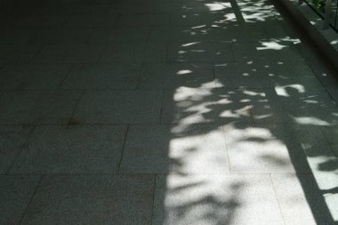 Sokaktaki bitki ve ağaçların siyah siluetleri ve gölgeleri. Kaldırımlar, yayalar, durgun şehir, toplum, şehir hayatı