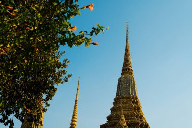 Bangkok, Tayland - 29 Kasım 2024: Wat pho Temple stupa, Tayland 'da güzel bir Budist Tapınağı manzarası.