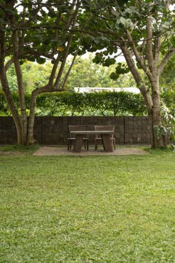 Bahçede arka planda ağaçlar olan iki sandalyenin dikey ya da portresi