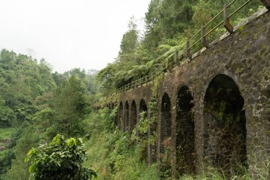 Büyük eski taş köprü yosunlarla kaplı, aşağıdan, gizemli ve ürpertici