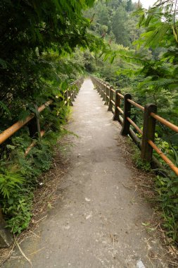 Asya 'daki tropikal yağmur ormanlarının ortasındaki eski köprü, dikey ya da hikaye biçimi