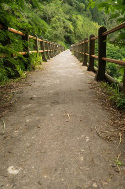 Ormanın ortasındaki eski köprüdeki patika yolunun düşük POV 'u