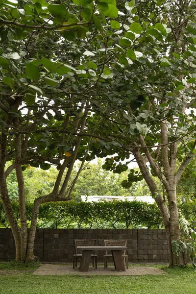 İki boş tahta sandalye bahçede arka planda ağaçlar, portre ya da dikey format