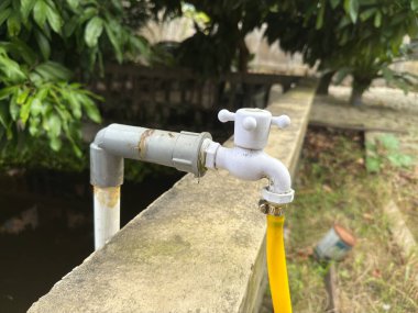 Su, bahçe musluğu ya da sarı hortumlu musluk.