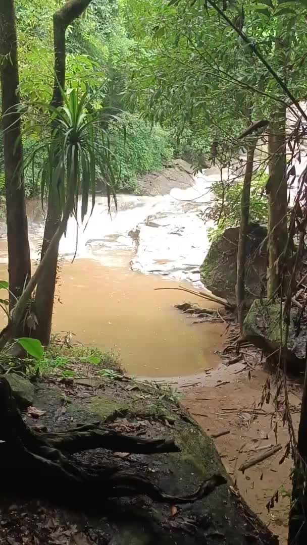 Parque Cachoeira Mae Chiang Mai Tailândia — Vídeo de Stock