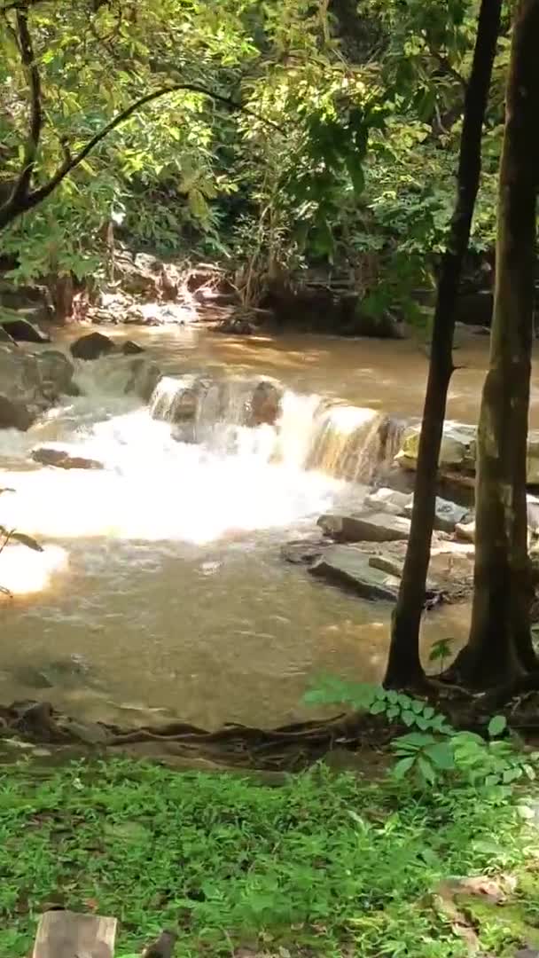 Mae Vodopád Park Chiang Mai Thajsko — Stock video