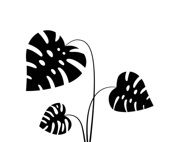 被白色隔离的黑色热带叶子 在丛林或海滨度假胜地种植大型异国植物的概念 平面卡通风格趋势现代Monstera标志图形设计元素 — 图库矢量图片