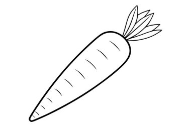 Havuç Vektör çizgisi sanat ve illüstrasyon