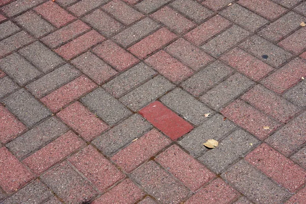 コンクリート舗装石で作られた歩道 — ストック写真