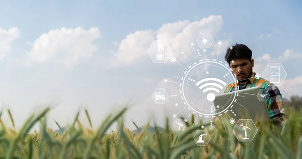 Концепція Розумного Землеробства Фермер Технологічним Цифровим Планшетом Фоні Пшеничного Поля — стокове фото