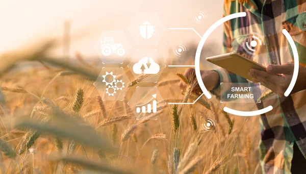 Smart farming concept. Farmer with technology digital tablet on background of wheat field. Professional farmers use internet of things (IOT) computers system to manage farms. agriculture modern idea.