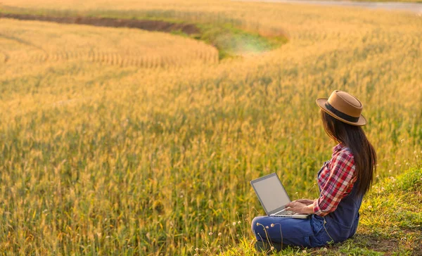 Female agronomist analyzing data in barley field. Woman farmer examines the field of cereals and sends data to the cloud from the tablet. Smart farming and digital agriculture. Modern farm management.