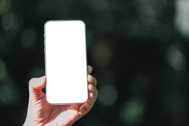 Kadın eli çiçekli arka planda modern beyaz ekran akıllı telefon, seyahat konsepti. İş yeri fikirleri. Seyahat tercihi. Uzayı kopyala İnternetteki mağaza. Teknoloji dijital siber uzay. Web ağı.