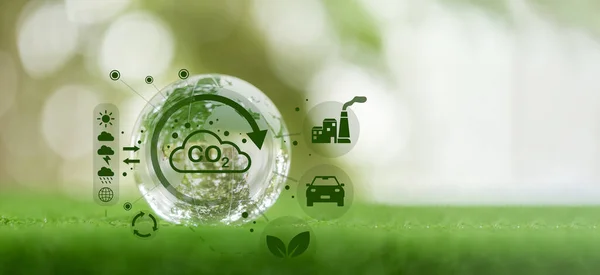 Desenvolver Conceitos Sustentáveis Co2 Reduzir Emissões Co2 Pegada Carbono Para — Fotografia de Stock