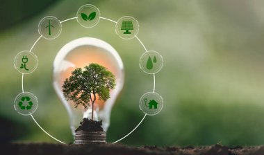 Alternatif enerji, yenilenebilir enerji, tasarruf enerjisi ve finans, enerji stoku yatırımı, eko çevre ikonu olan sikke üzerindeki ampul. eko ortamı için elektrik kaynağı.