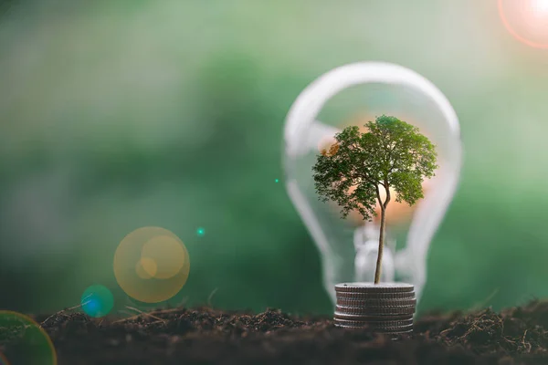 代替エネルギー 再生可能エネルギー 省エネルギーと金融 エネルギー株式投資 スタックコインと土壌の電球上で成長する木 環境のための電気エネルギー源 — ストック写真