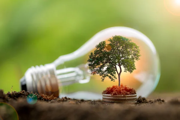 Εναλλακτική Ενέργεια Ανανεώσιμες Πηγές Ενέργειας Εξοικονόμηση Ενέργειας Και Χρηματοδότησης Επενδύσεις — Φωτογραφία Αρχείου