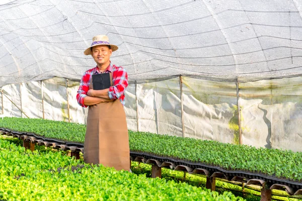 Közeli Gazdálkodók Gondoskodnak Növényi Hidroponikus Biogazdálkodásról Csírázott Palántákat Fekete Tálcára — Stock Fotó