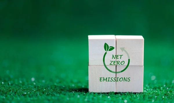 Şirketler Net Sıfır Sera Gazı Emisyonunu Hedefliyor Karbon Kredi Konsepti — Stok fotoğraf