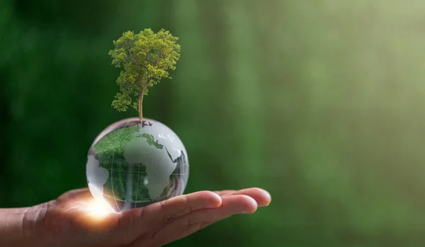 Närbild Hand Hålla Kristallglob Med Träd Grön Suddig Natur Bakgrund — Stockfoto