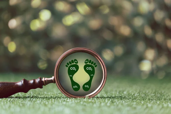 Carbon footprint with magnifying glass on green background. Carbon Footprint is total amount of carbon dioxide and greenhouse gases such as methane, Nitrous Oxide gas, emitted from services.