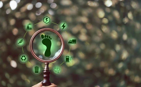 Carbon footprint with magnifying glass on green background. Carbon Footprint is total amount of carbon dioxide and greenhouse gases such as methane, Nitrous Oxide gas, emitted from services.