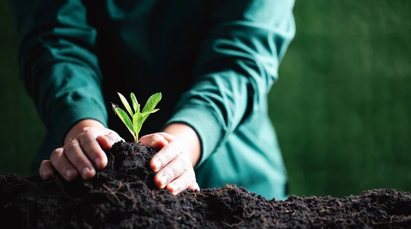 Världsmiljödagen Händerna Planterar Plantorna Jorden Idé Att Skydda Miljön Och — Stockfoto