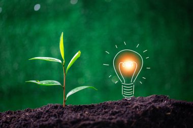 Yenilenebilir enerji yeniliği ve yeşil dünya kavramı. Sürdürülebilir temiz enerji kaynakları. Çevresel koruma, sürdürülebilir enerji kaynakları. Yeşil arka planda toprağa konmuş ampul.