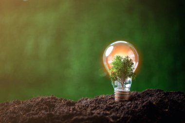 Yenilenebilir enerji yeniliği ve yeşil dünya kavramı. Sürdürülebilir temiz enerji kaynakları. Çevresel koruma, sürdürülebilir enerji kaynakları. Yeşil arka planda toprağa konmuş ampul.