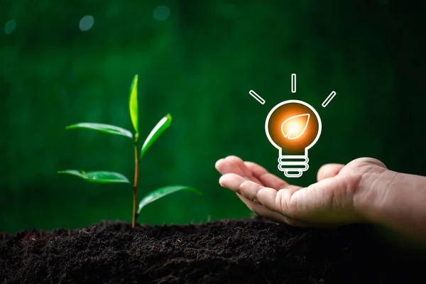 Concept of renewable energy innovation and green earth. Sustainable clean energy sources. Environmental protection, Idea sustainable energy sources. Hand holding light bulb on green nature background.
