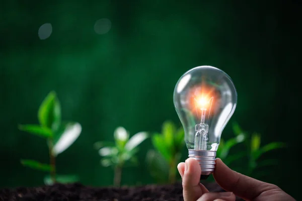 Konzept Für Innovation Bereich Erneuerbare Energien Und Grüne Erde Nachhaltige — Stockfoto