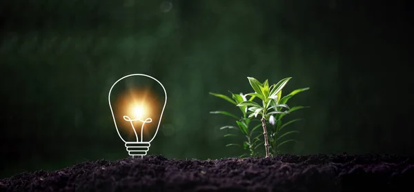 Concept of renewable energy innovation and green earth. Sustainable clean energy sources. Environmental protection, Idea sustainable energy sources. Light bulb put on soil on green nature background.