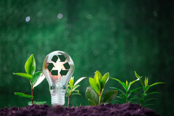 Concept of renewable energy innovation and green earth. Sustainable clean energy sources. Environmental protection, Idea sustainable energy sources. Light bulb put on soil on green nature background.