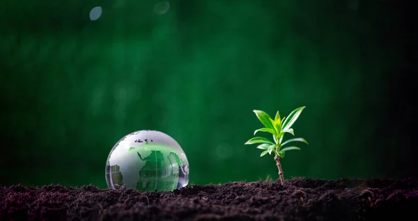 Concept of renewable energy innovation and green earth. Sustainable clean energy sources. Environmental protection, Idea sustainable energy sources.Tree and globe on soil on green nature background.