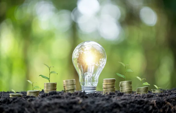 Idea of renewable energy and energy saving. Energy saving light bulb and tree growing on stacks of coins on nature background. Saving, accounting and financial concept.