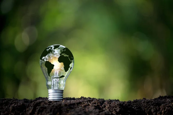 Green world map on light bulb that represents green energy Renewable energy that is important to the world. Renewable Energy. Environmental protection, renewable, sustainable energy sources.